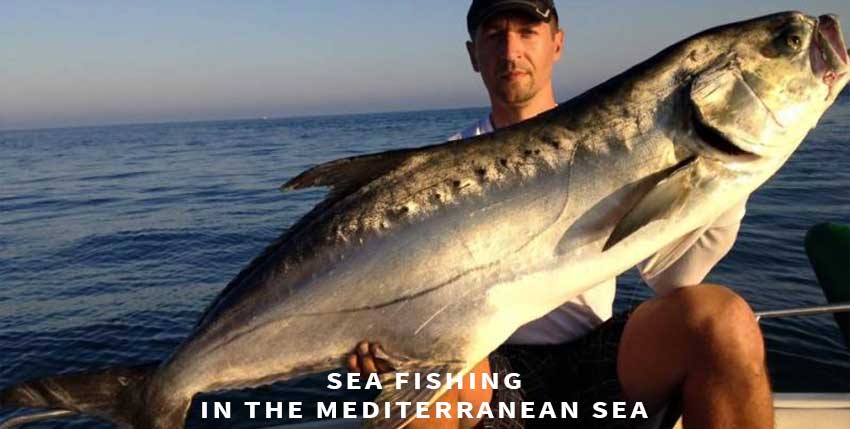 Sea fishing in the mediterranean sea